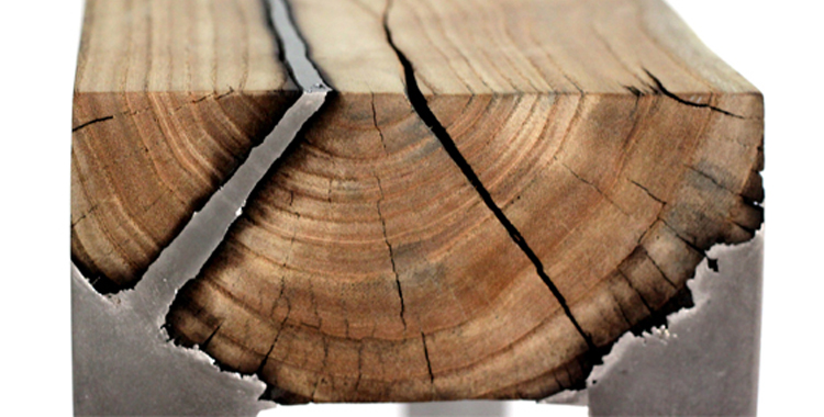 © Copyright Hilla Shamia 2014